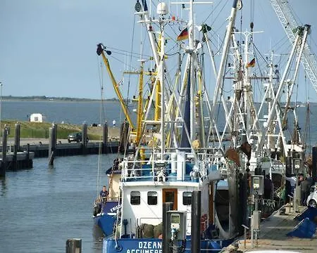 Nordsee Ferienwohnung An Der Kueste Mit Inselblick Dornum Exterior photo