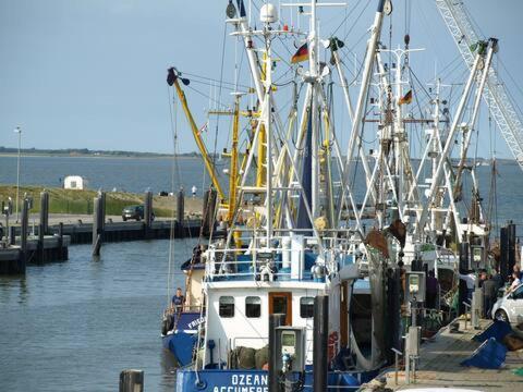 Nordsee An Der Kueste Mit Inselblick