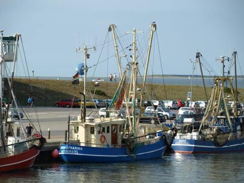 Nordsee An Der Kueste Mit Inselblick Apartment Dornum